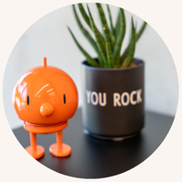 Dekoration & Kunst- & Echtpflanzen